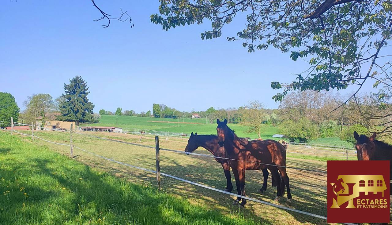 Propri&eacute;t&eacute; &eacute;questre 3,4 hectares