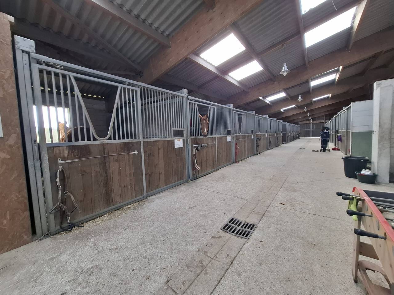 Propri&eacute;t&eacute; d'exception avec domaine &eacute;questre  &Agrave; 20 minut