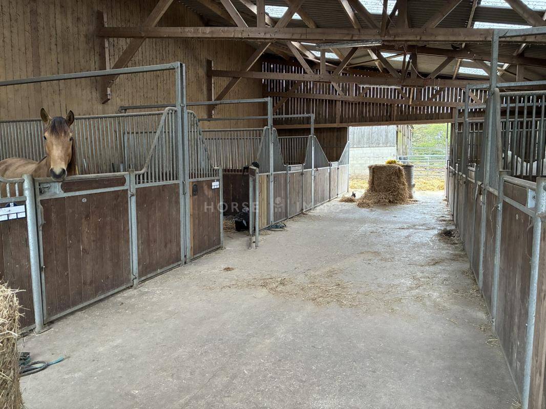 Centre &eacute;questre sur 12 ha, Plo&euml;rmel / Guer