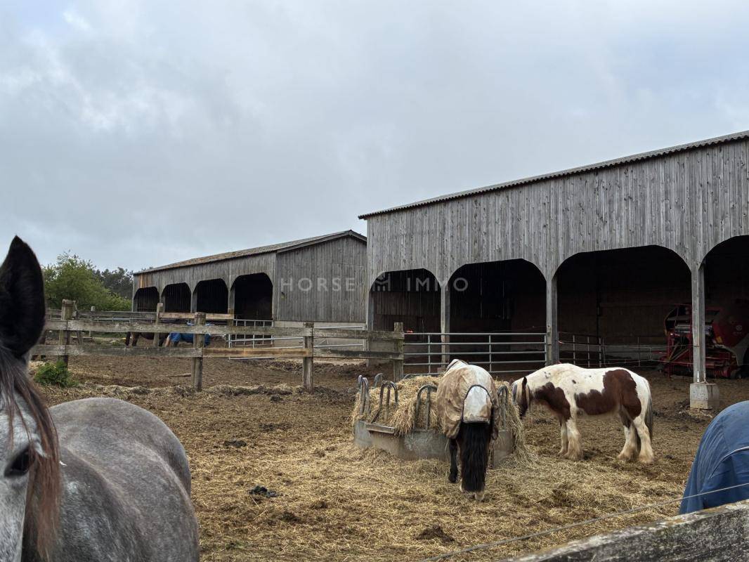 Centre &eacute;questre sur 12 ha, Plo&euml;rmel / Guer