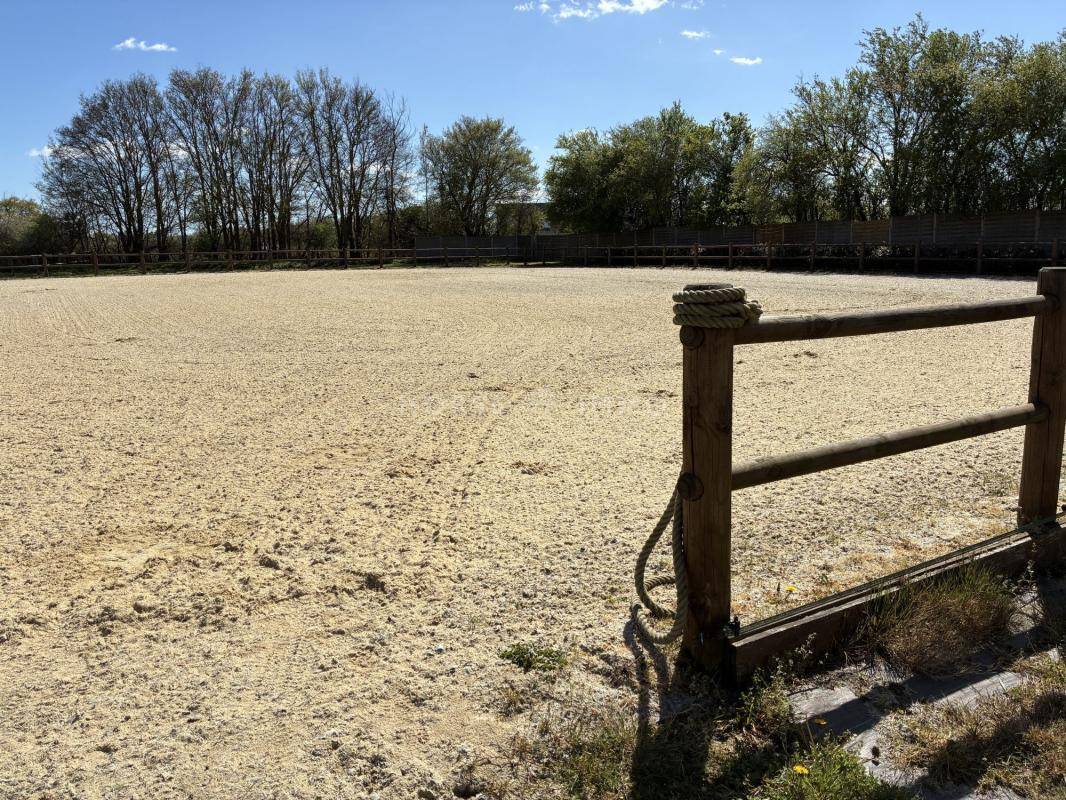 Propri&eacute;t&eacute; &eacute;questre cl&eacute; en main avec man&egrave;ge et carri&egrave;re, 15