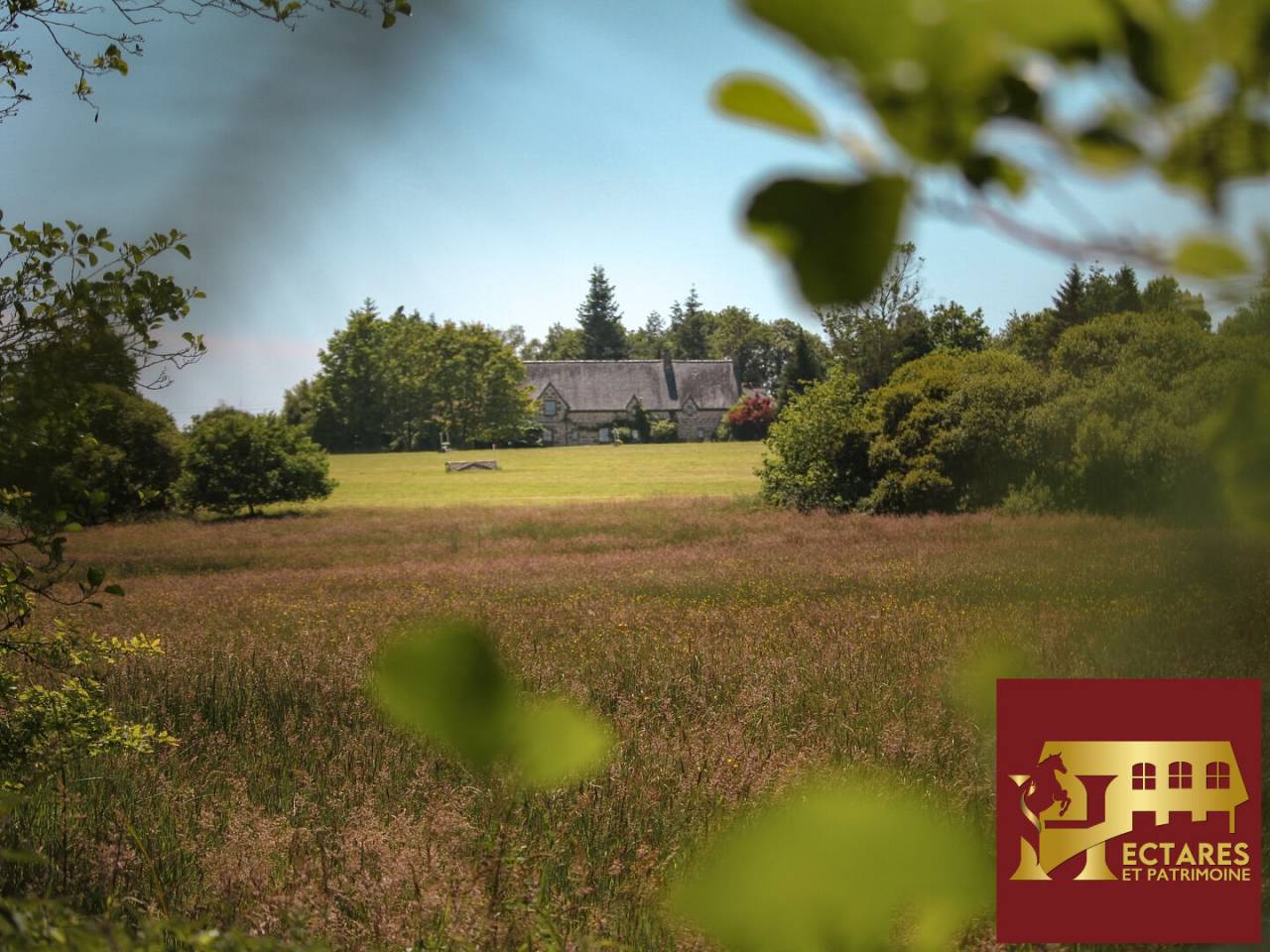 Domaine &eacute;questre 26 Hectares avec G&icirc;te