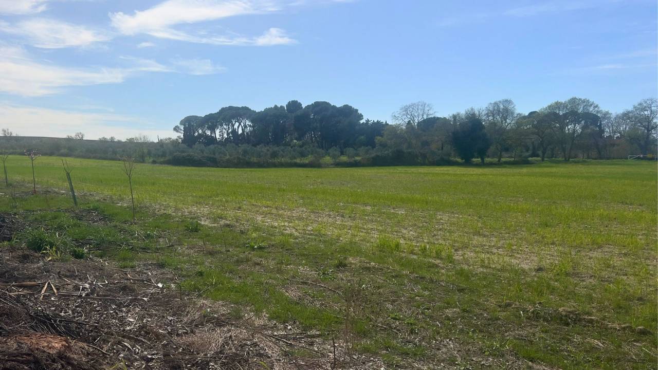 Terrain agricole de 4,5 hectares - H&eacute;rault (34)