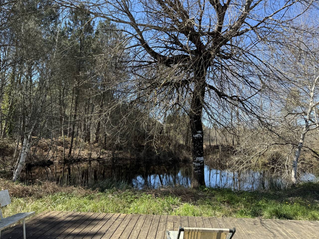 &Agrave; seulement 20 min de Lacanau, sur plus de 10 hectares