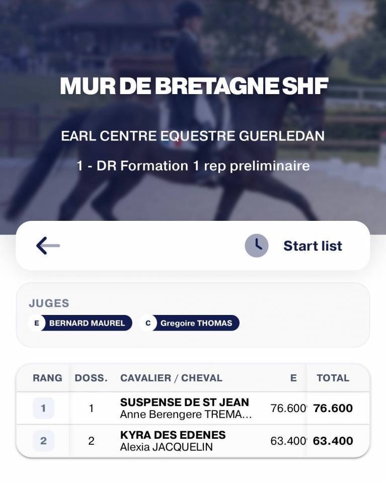 Hongre - KWPN - 4 ans - Dressage - France 