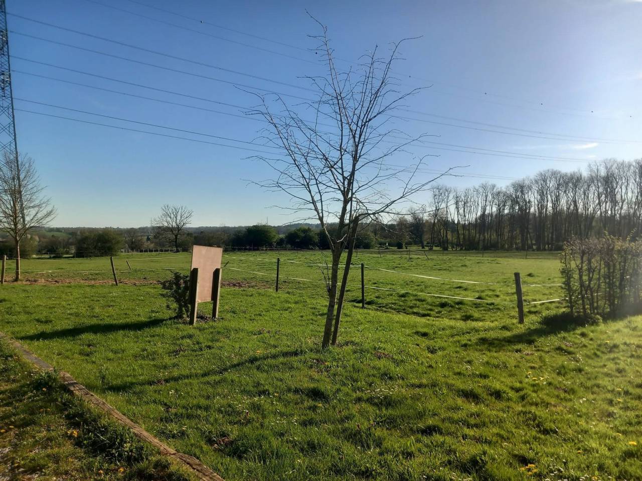 Pension pour chevaux ( 2 boxes libres). 