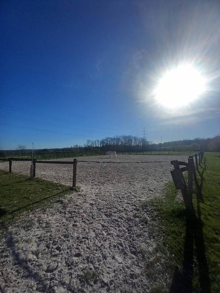 Pension pour chevaux ( 2 boxes libres). 