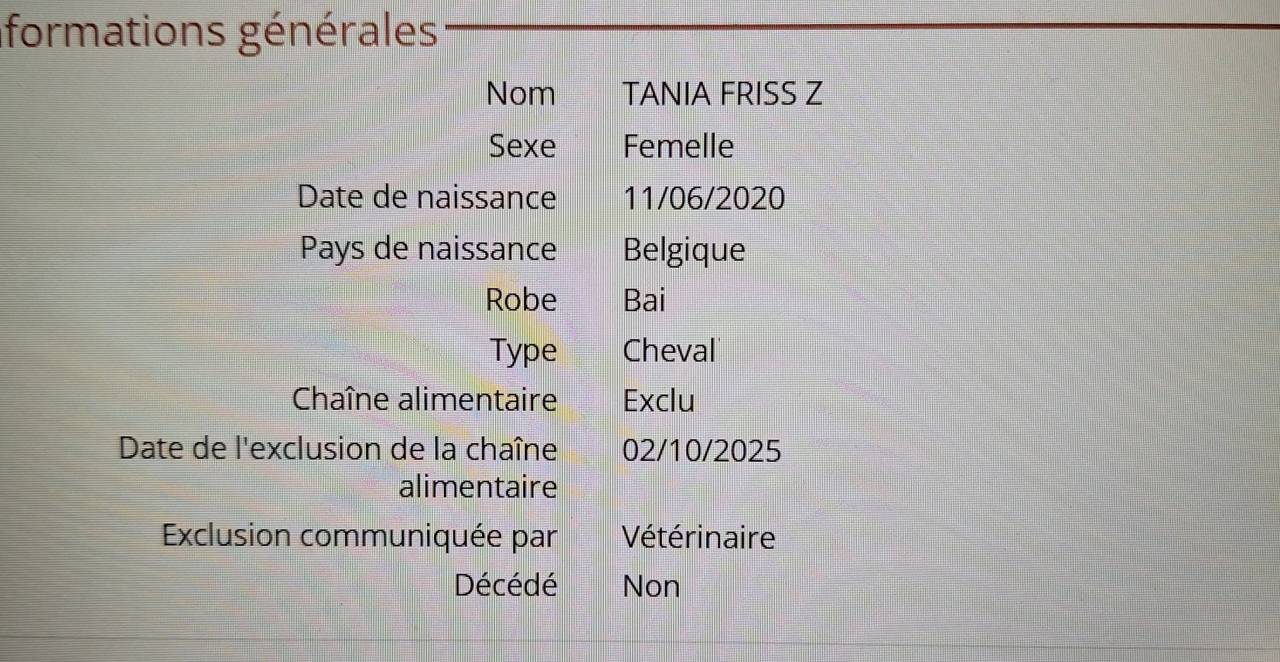 Jument 6 ans &agrave; vendre