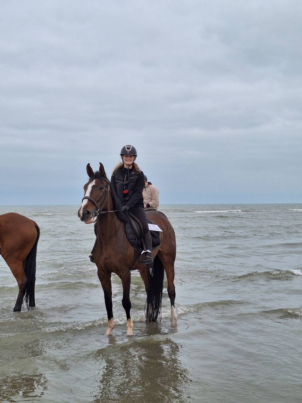 Jument 6 ans &agrave; vendre