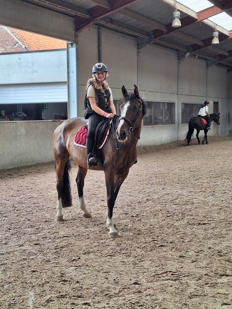 Jument 6 ans &agrave; vendre