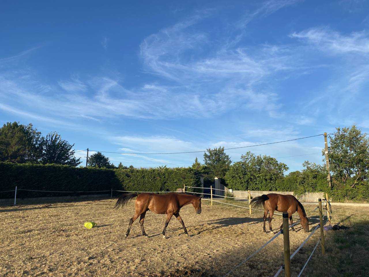 Proche UZES - confort et passion equestre