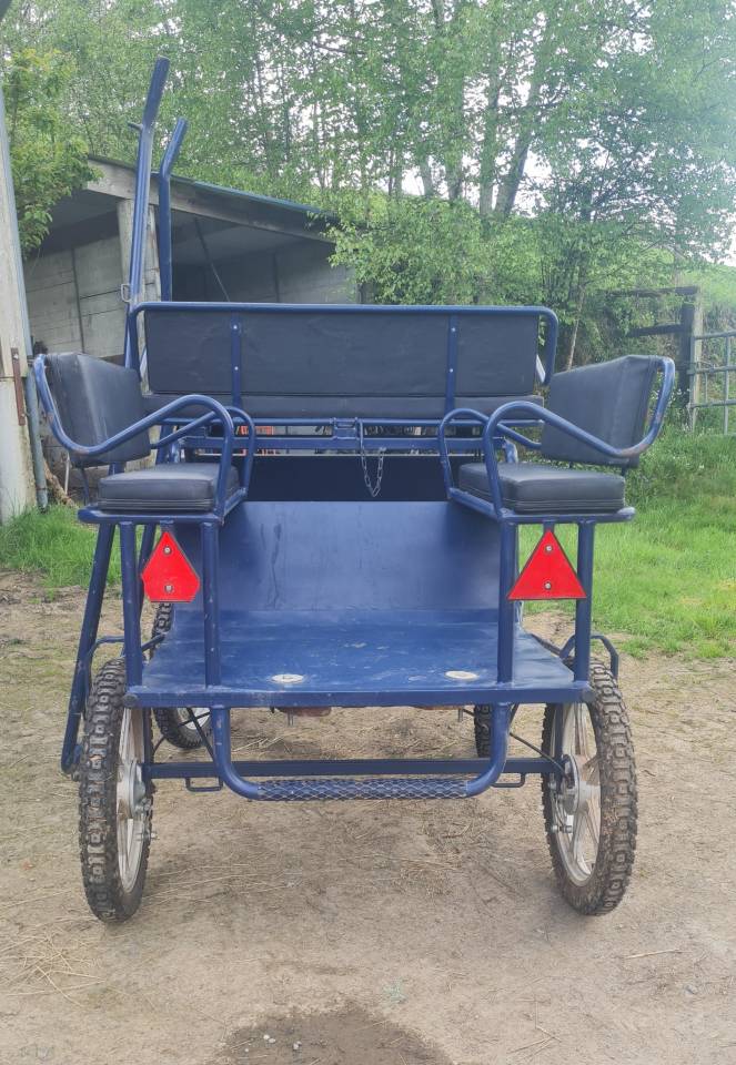 Cal&egrave;che pour poney ou &acirc;ne - timon et brancards - 50