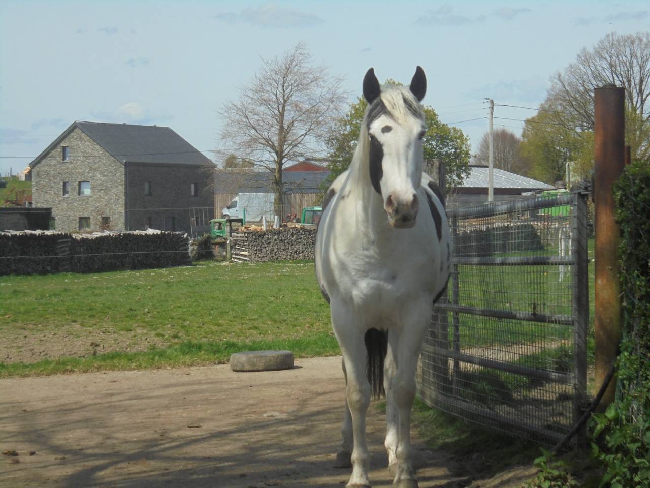 jument mont&eacute;e