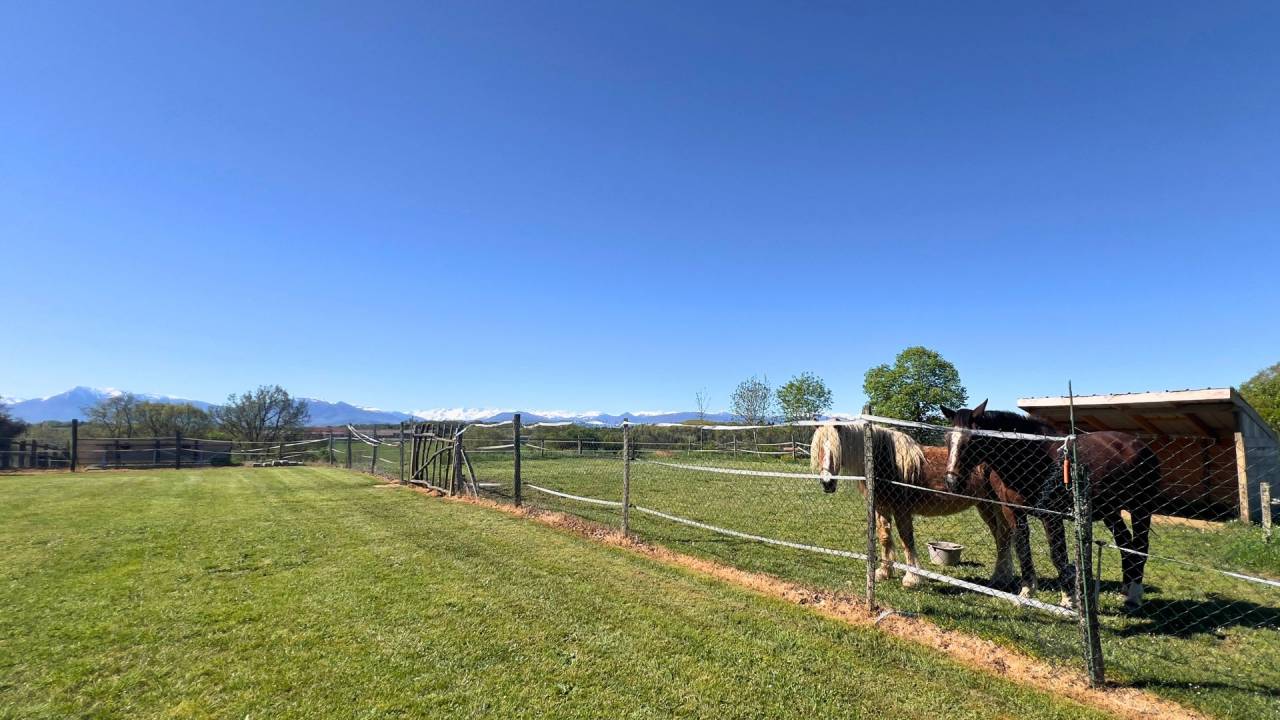 Propri&eacute;t&eacute; d&rsquo;exception de 22 hectares (31)