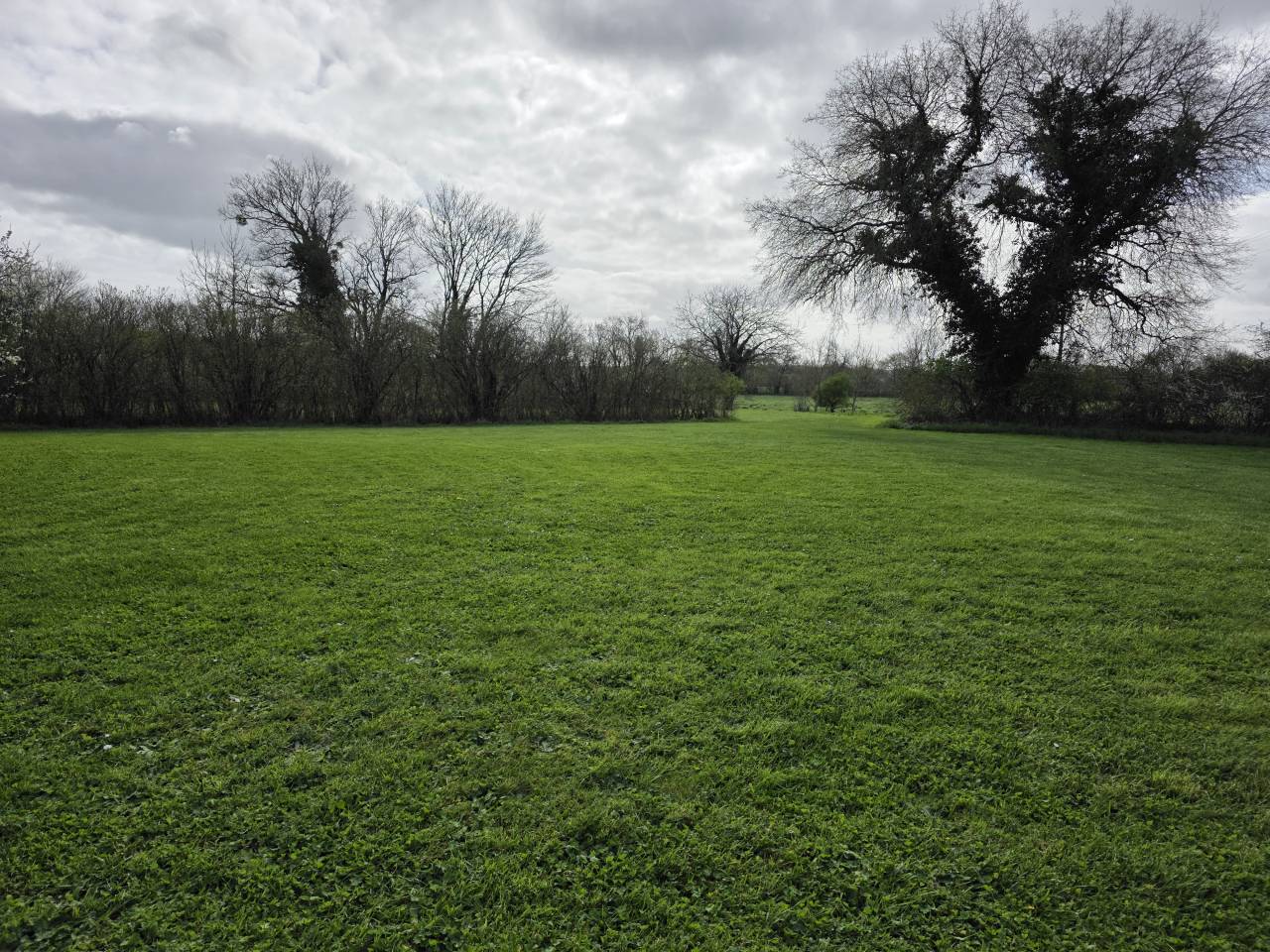 Logis Historique et Paradis &Eacute;questre sur 13,5 Hectares