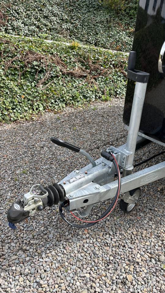 Van Bockmann 2 chevaux 