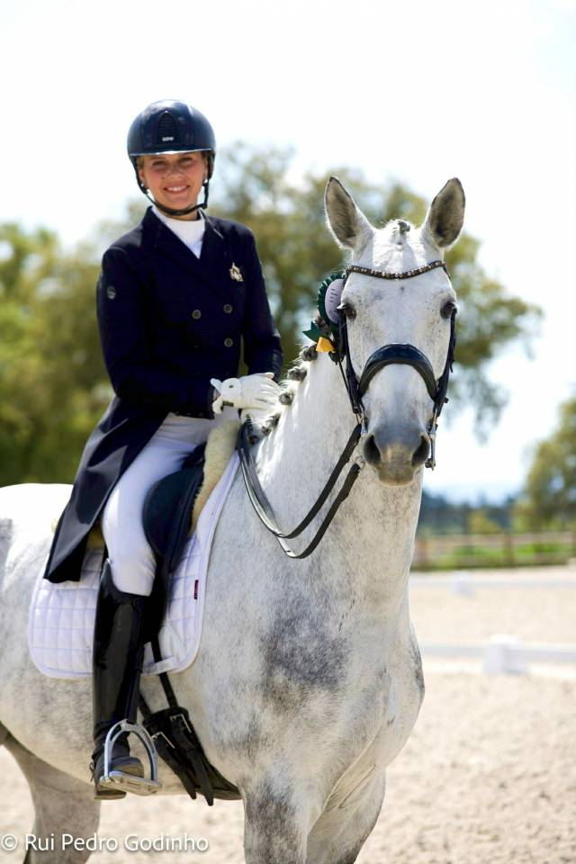 Hongre - Zangersheide - 8 ans - Dressage - France