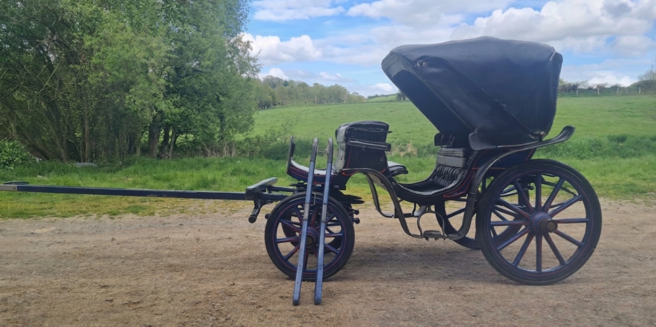 Cal&egrave;che Victoria petit mod&egrave;le - Poney / &Acirc;ne (50150 Brou