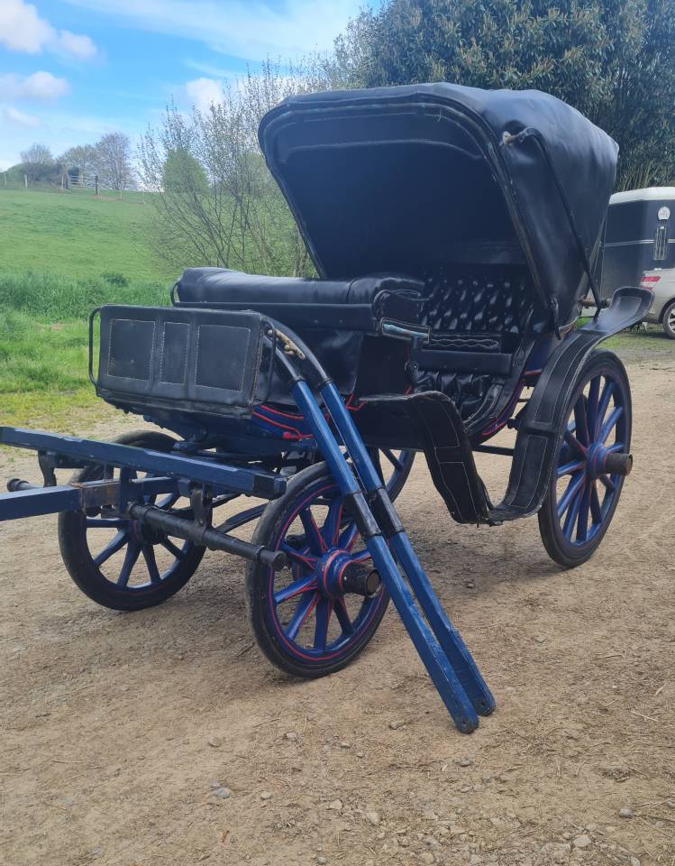 Cal&egrave;che Victoria petit mod&egrave;le - Poney / &Acirc;ne (50150 Brou