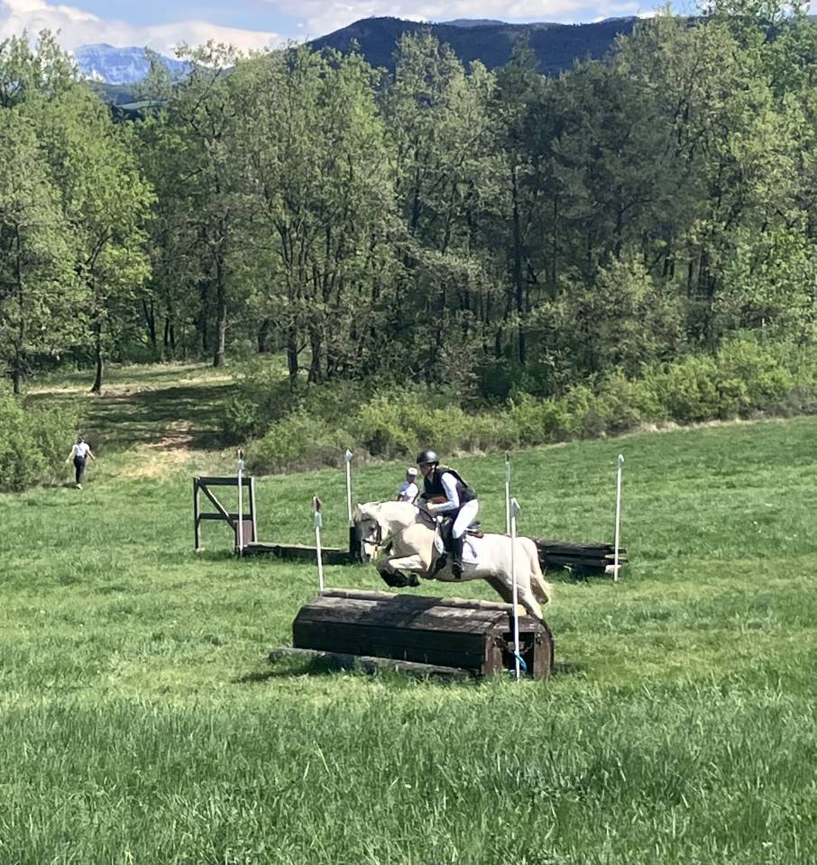 Poney PFS taille D pour CCE