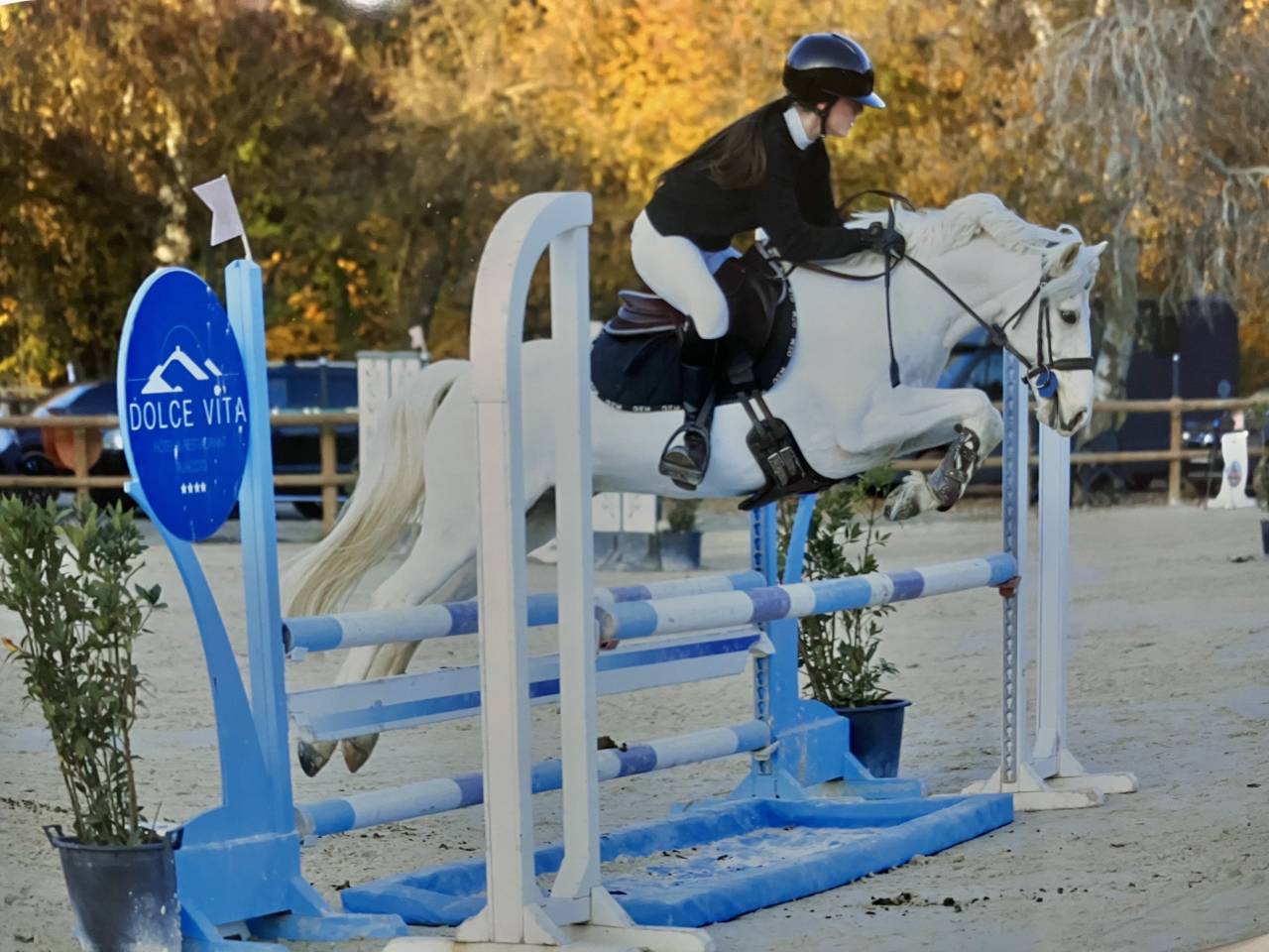 Poney PFS taille D pour CCE