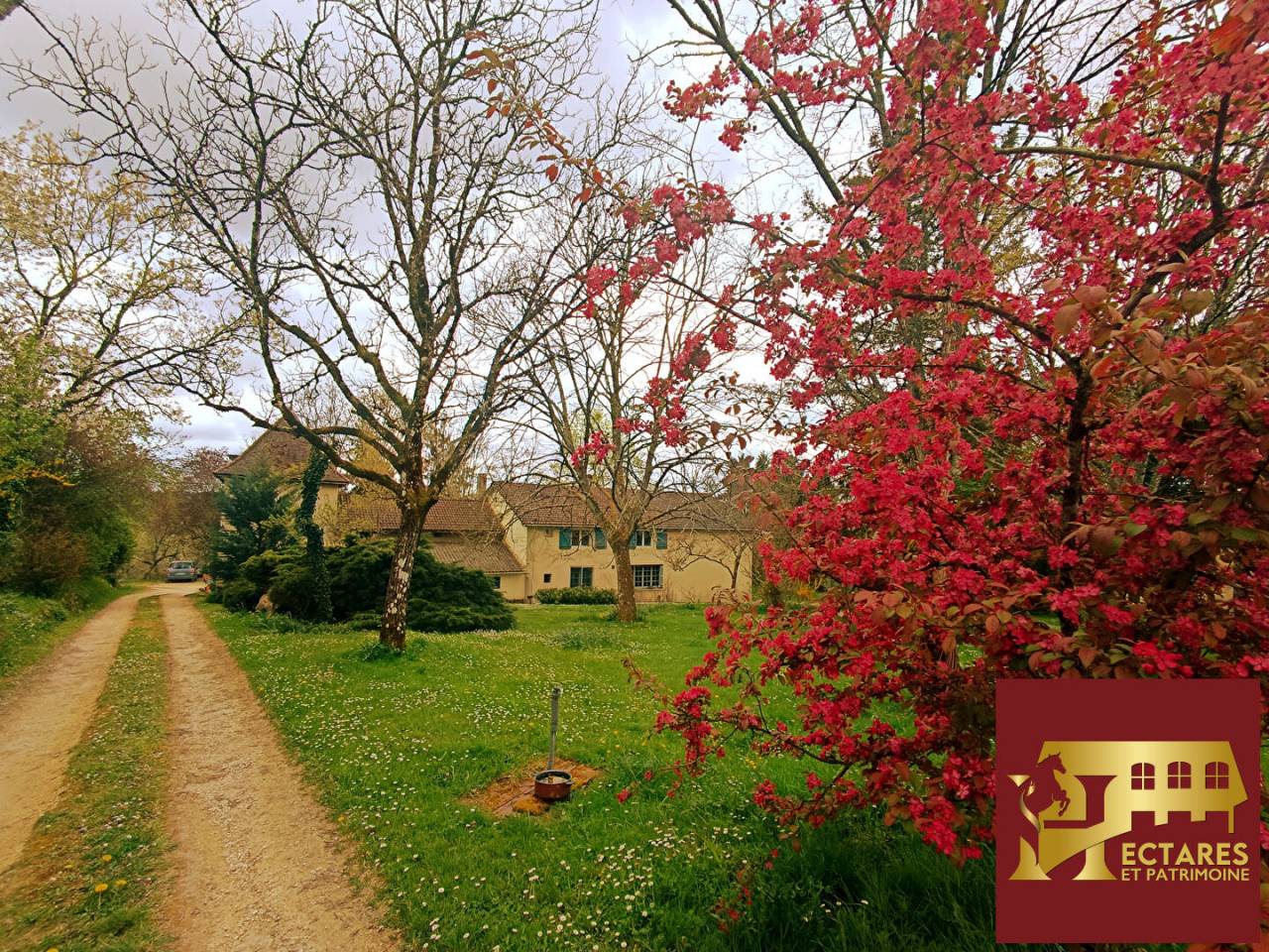 Propri&eacute;t&eacute; &eacute;questre - Maison avec 2 g&icirc;tes - 10 hectares - source