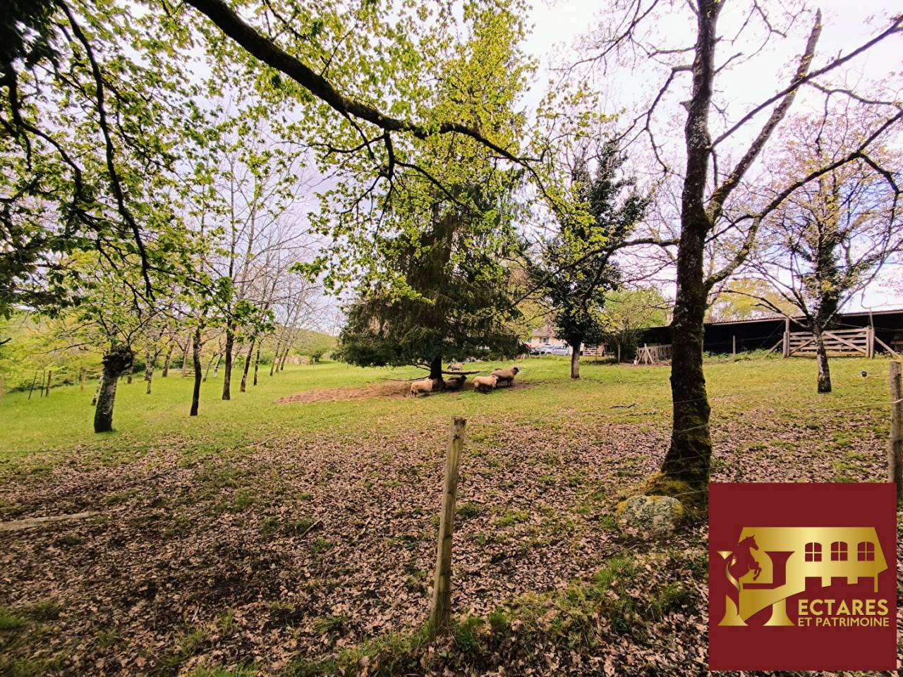 Propri&eacute;t&eacute; &eacute;questre - Maison avec 2 g&icirc;tes - 10 hectares - source