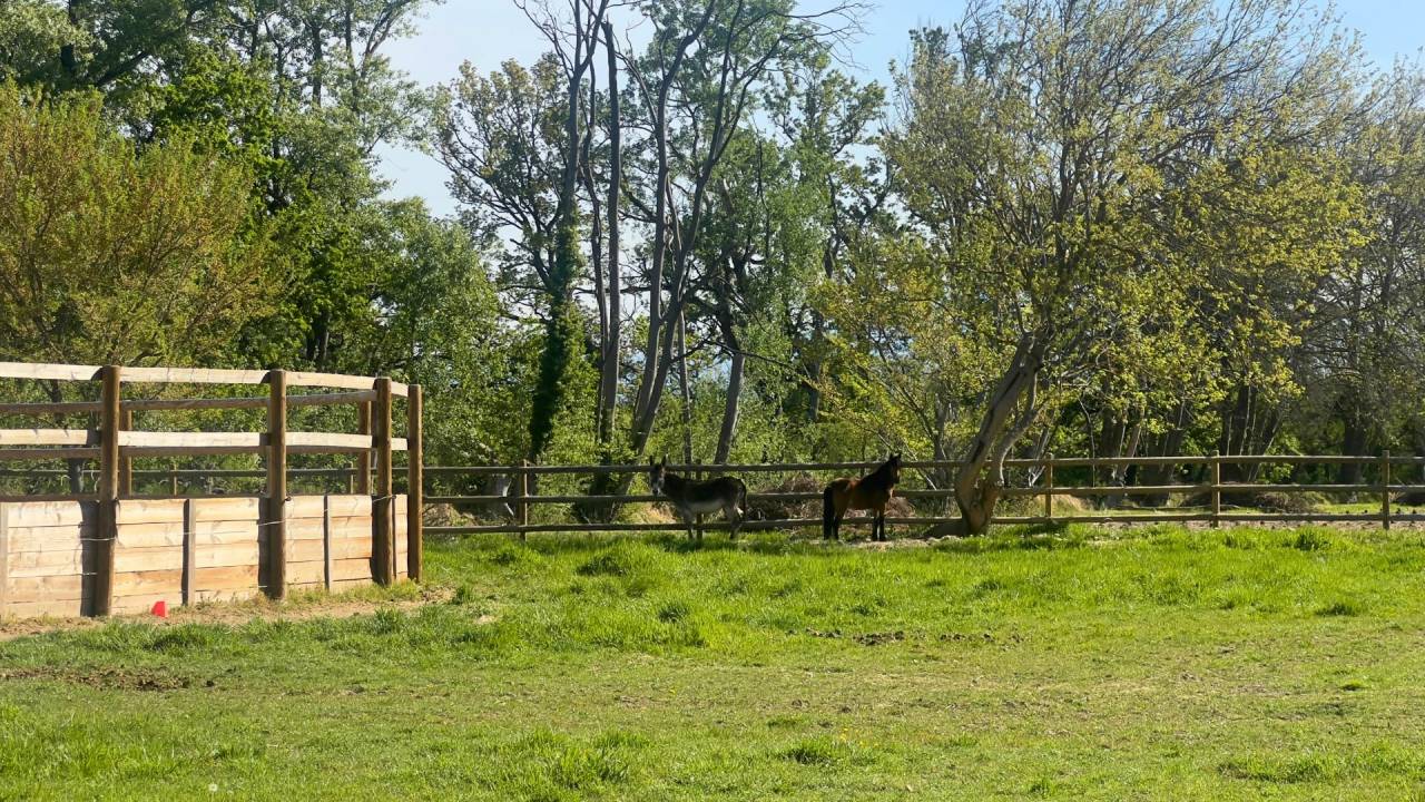 Somptueuse propri&eacute;t&eacute; de charme entre Provence et Lubero