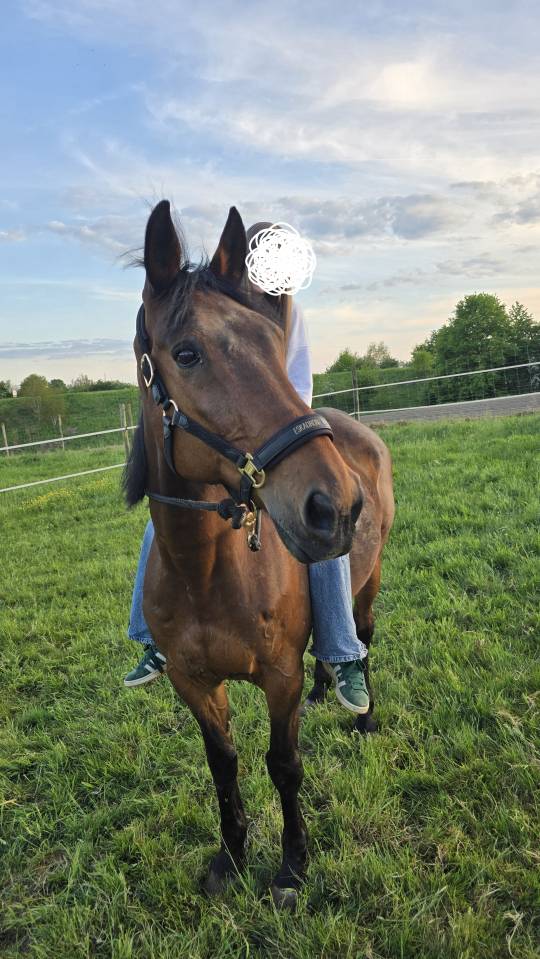 Demi pension Villers le Bouillet (Fize-Fontaine)