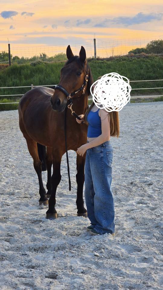 Demi pension Villers le Bouillet (Fize-Fontaine)