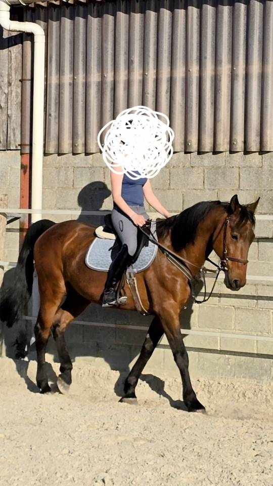 Demi pension Villers le Bouillet (Fize-Fontaine)