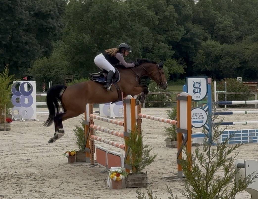 Jument 6 ans / belles origines / mod&egrave;le / respect 