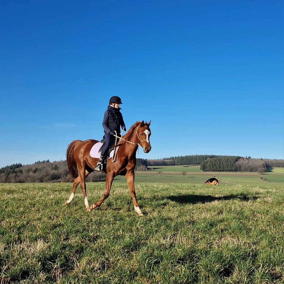 Shakyra de Croissart