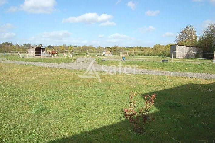 Long&egrave;re, projet &eacute;quin