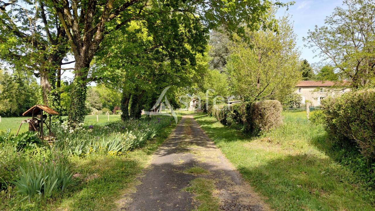 Propri&eacute;t&eacute; &eacute;questre sur environ 5 ha.