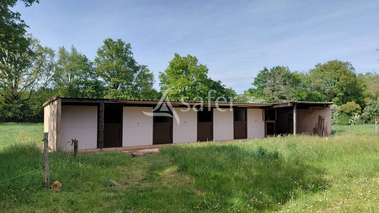 Propri&eacute;t&eacute; &eacute;questre sur environ 5 ha.
