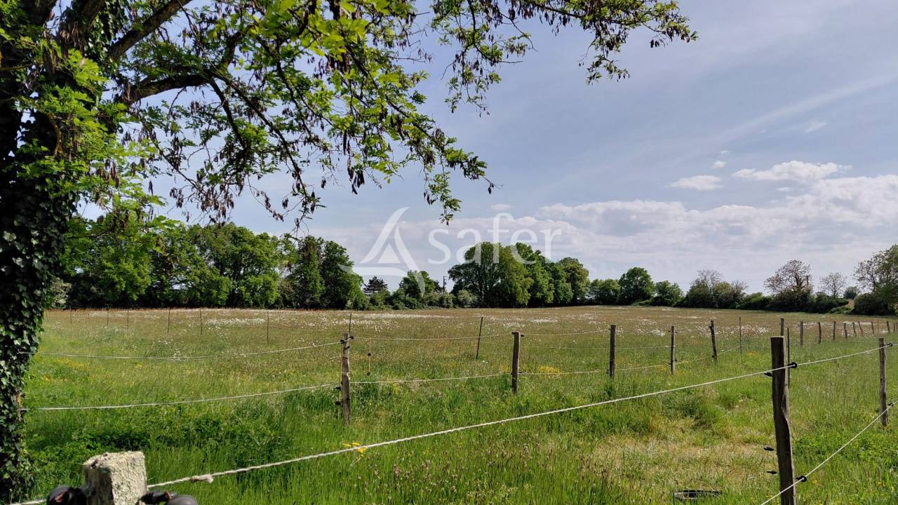 Propri&eacute;t&eacute; &eacute;questre sur environ 5 ha.