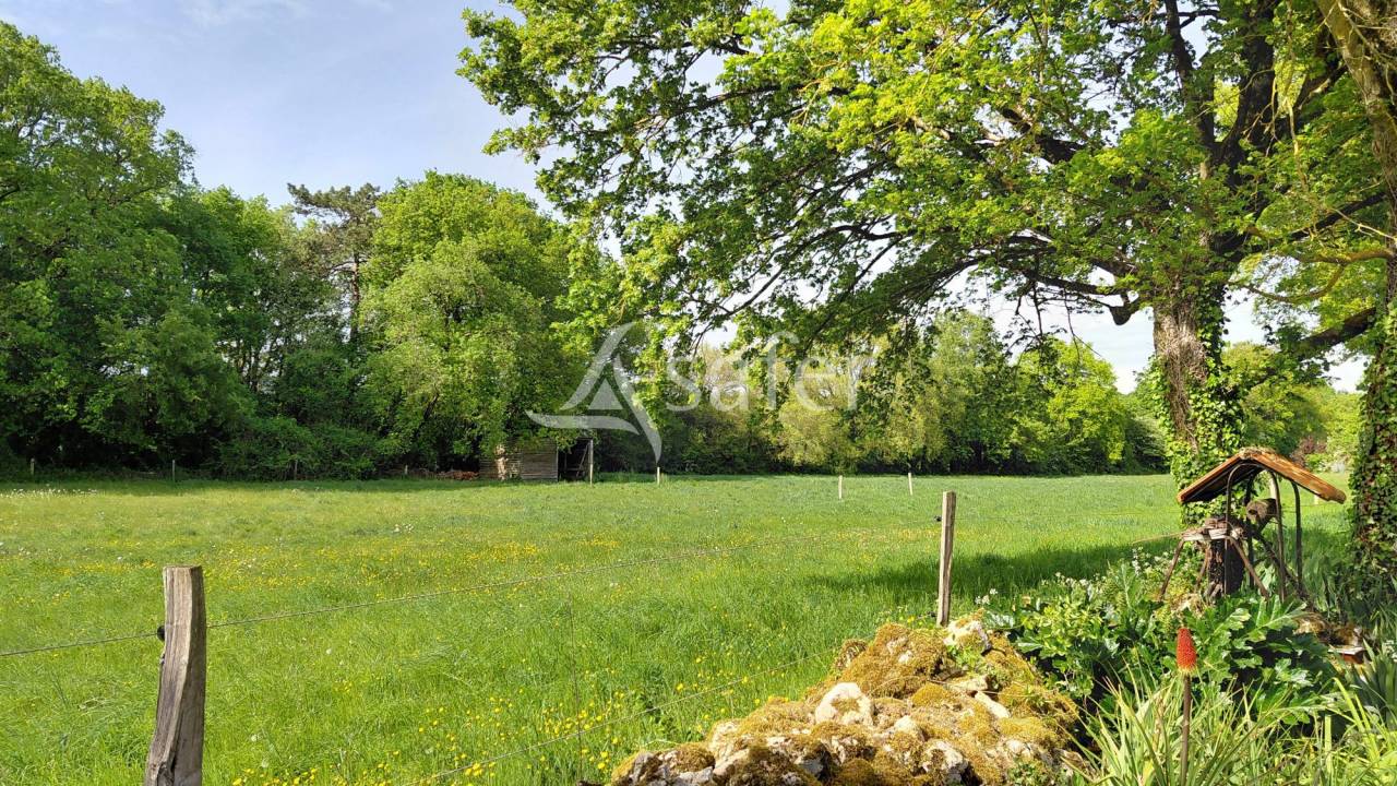 Propri&eacute;t&eacute; &eacute;questre sur environ 5 ha.