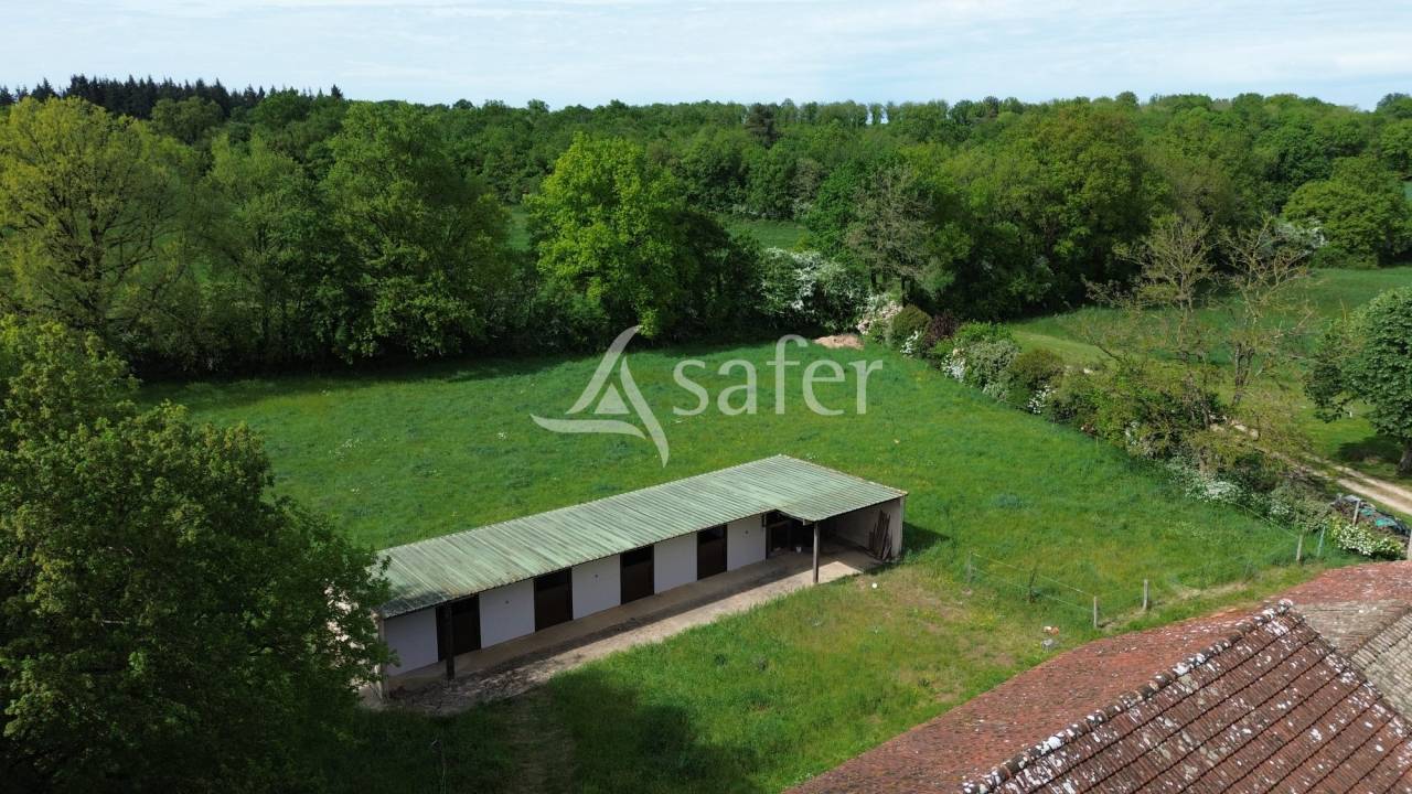 Propri&eacute;t&eacute; &eacute;questre sur environ 5 ha.