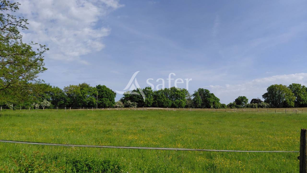 Propri&eacute;t&eacute; &eacute;questre sur environ 5 ha.