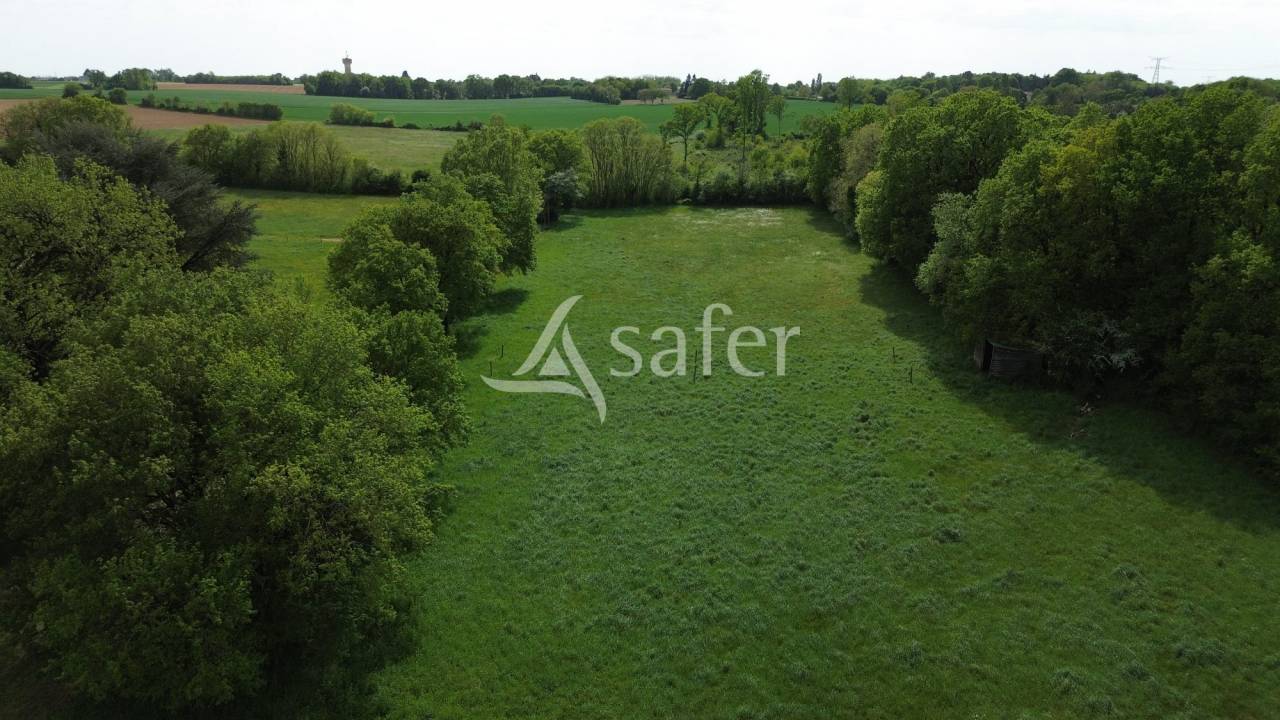 Propri&eacute;t&eacute; &eacute;questre sur environ 5 ha.