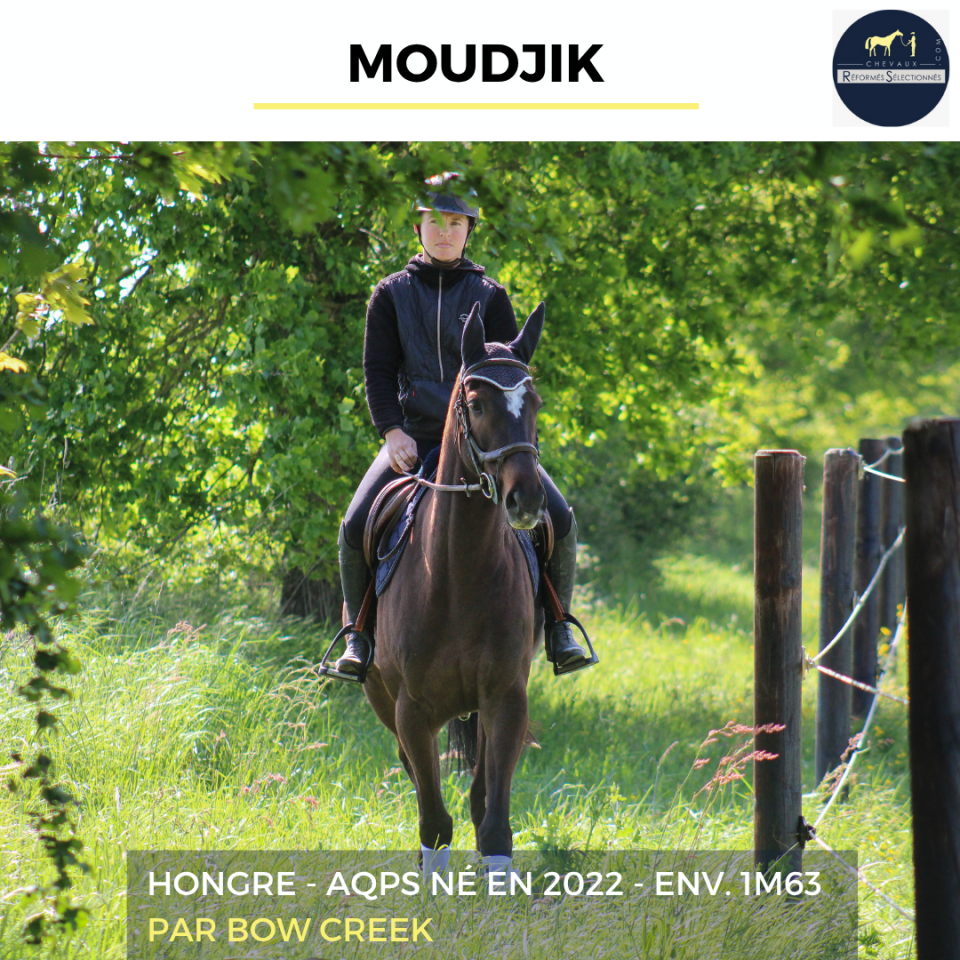 MOUDJIK - AQPS - 4 ANS