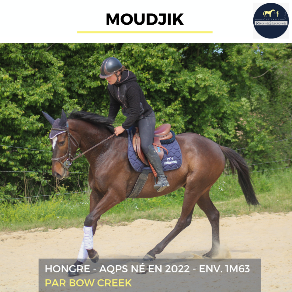 MOUDJIK - AQPS - 4 ANS