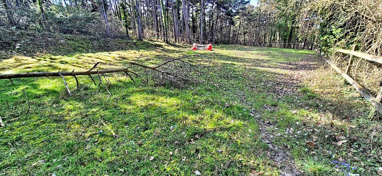 Propri&eacute;t&eacute; &eacute;questre en Essonne