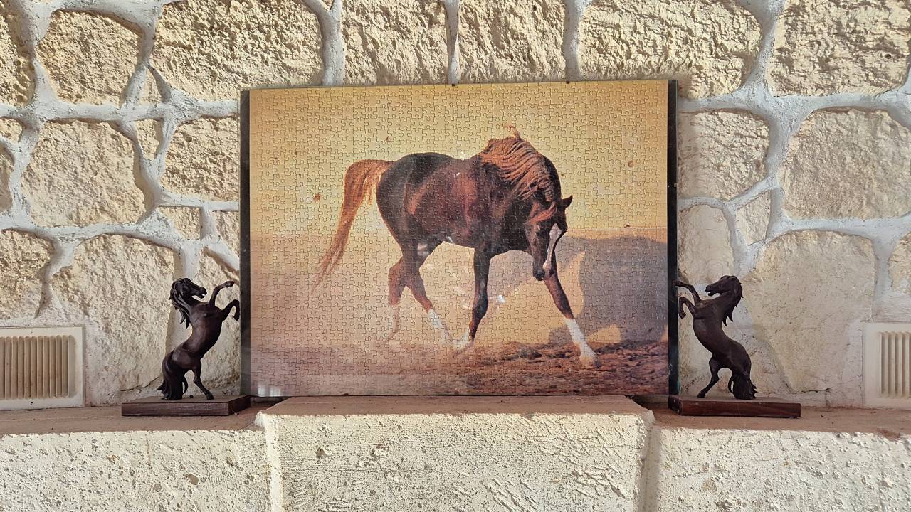 Propri&eacute;t&eacute; &eacute;questre en Essonne