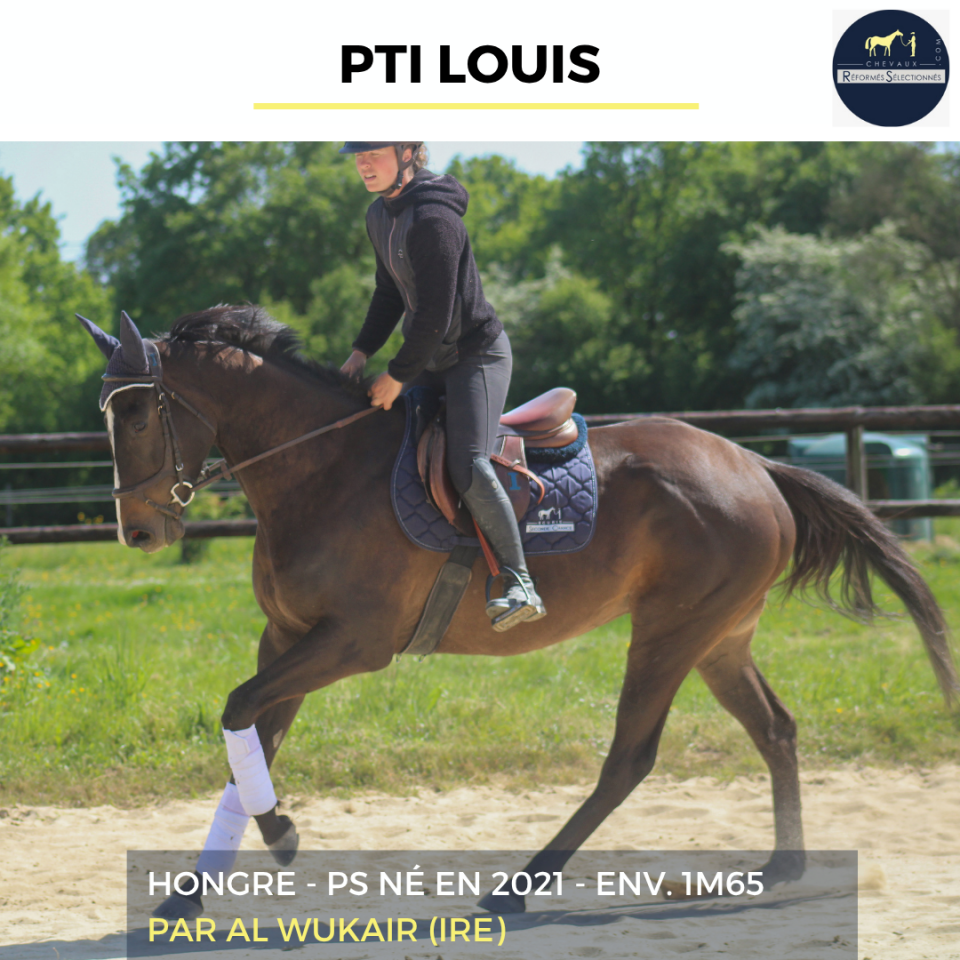 PTI LOUIS - PS - 5 ANS