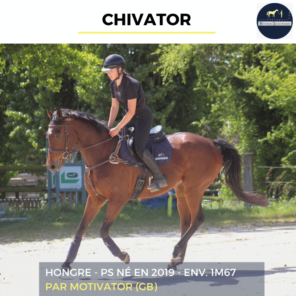 CHIVATOR - PS - 7 ANS