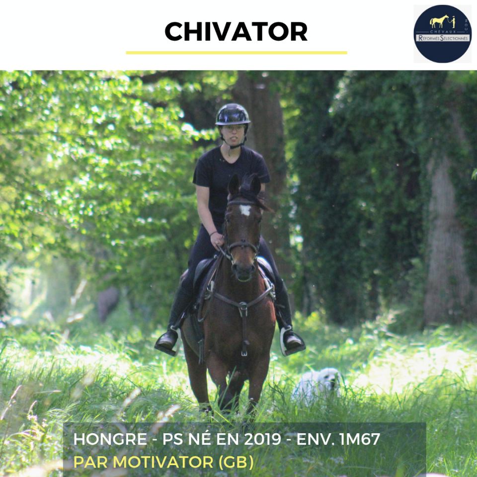 CHIVATOR - PS - 7 ANS