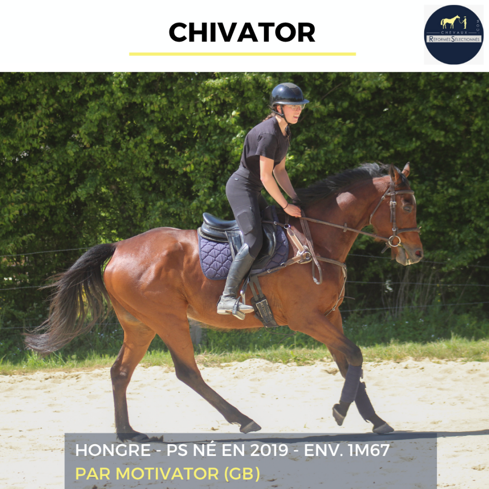 CHIVATOR - PS - 7 ANS