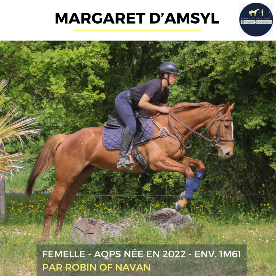 MARAGRET D'AMSYL - AQPS - 4 ANS 